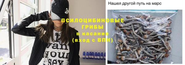 ECSTASY Михайлов