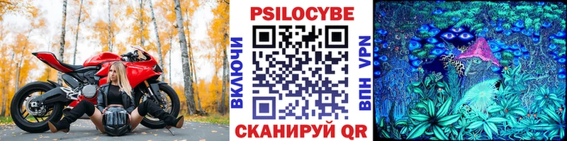 Псилоцибиновые грибы GOLDEN TEACHER  где можно купить наркотик  площадка телеграм  Удомля 