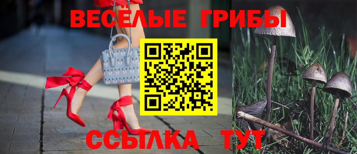 Удомля  Псилоцибиновые грибы прущие грибы  Вход с VPN 